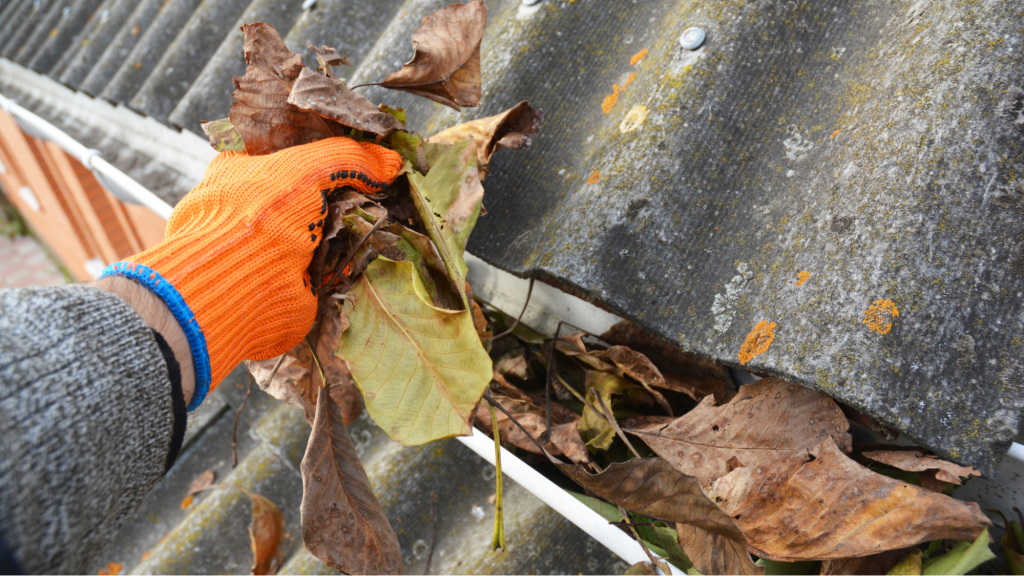 cleaning leaves from the gutter