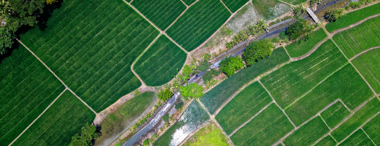 Aerial view of bright green farmground with a roadway going down the middle