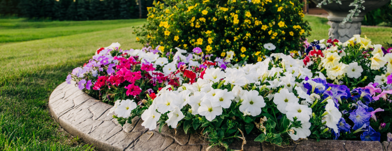 Multi-colored landscaping in a front yard design of a home. Summer Curb Appeal Tips