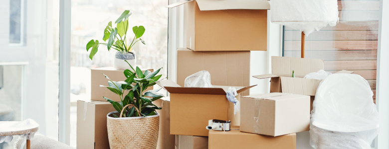 Brown moving boxes packed with house items and a green plant in a planter