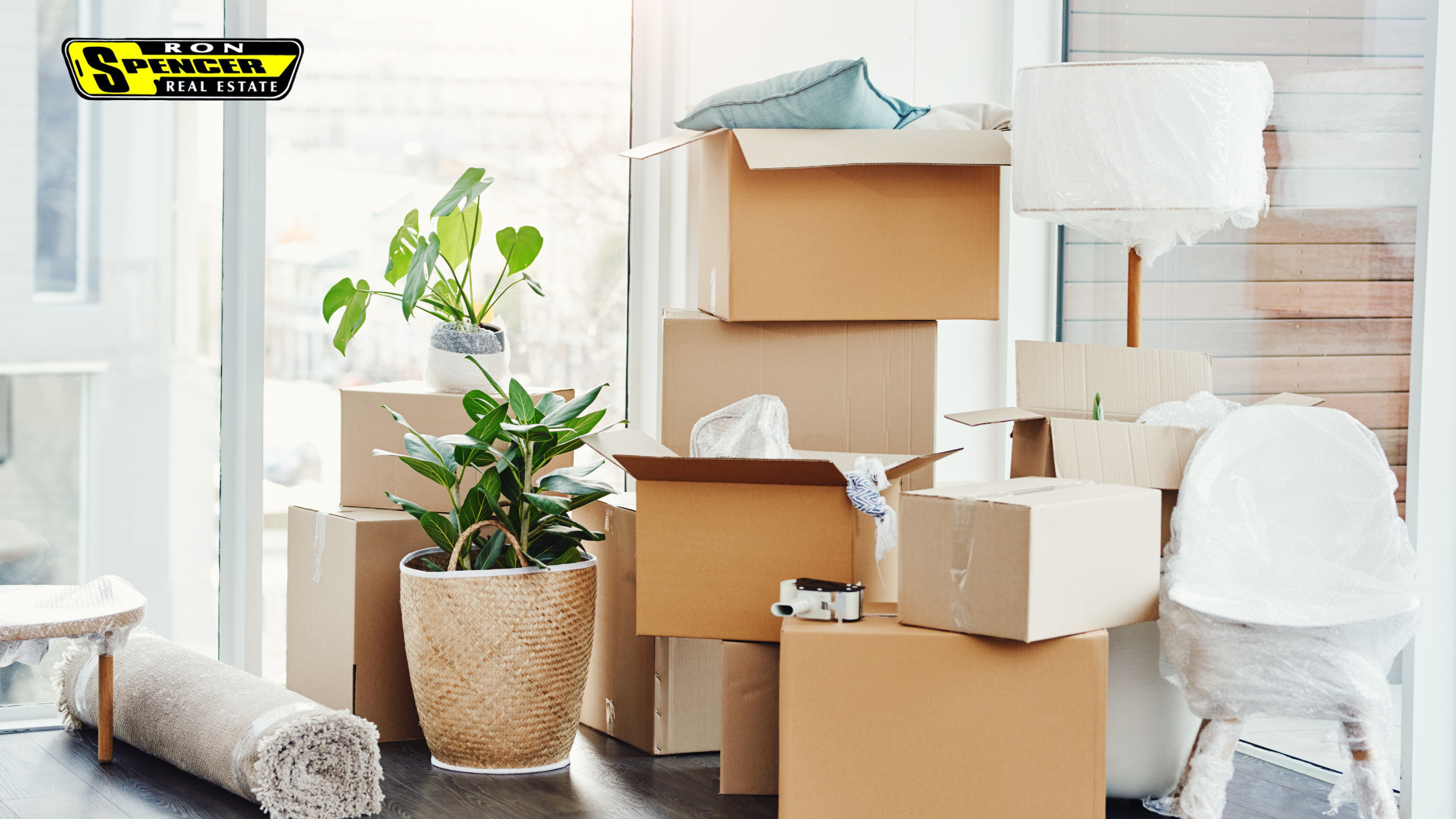 Brown moving boxes packed with house items and a green plant in a planter