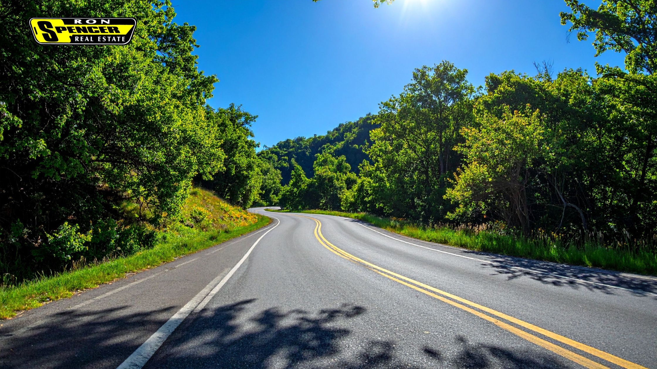 winding road with bright green trees and a blue sky