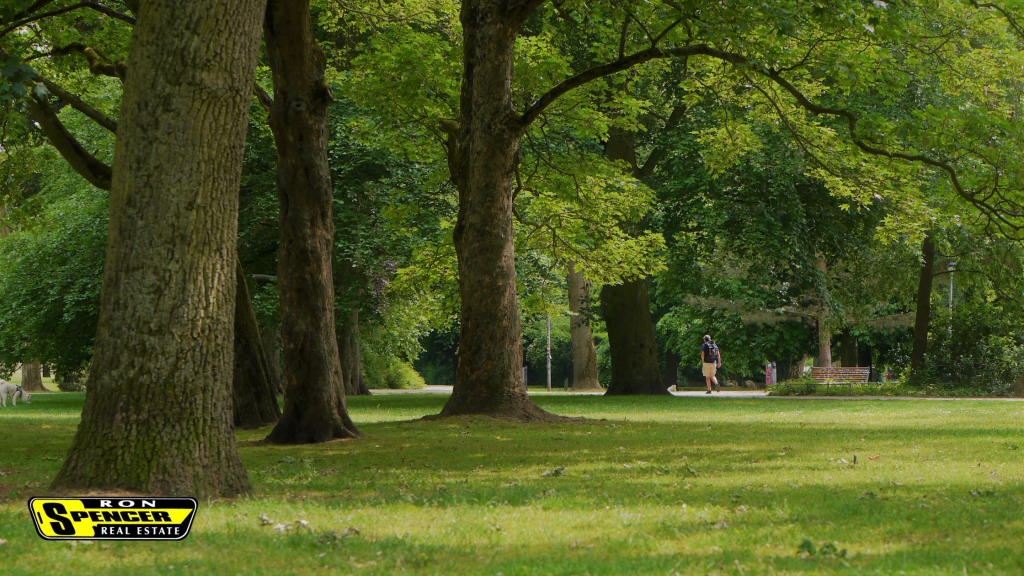 a green park space with large trees and people walking