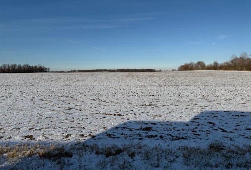 SR 47 FARM VIEW