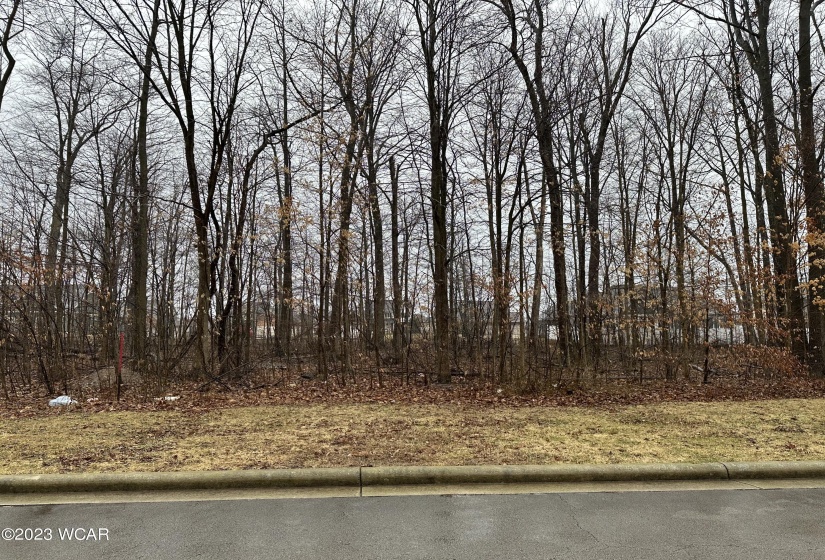 Lot 269 Forest Ln