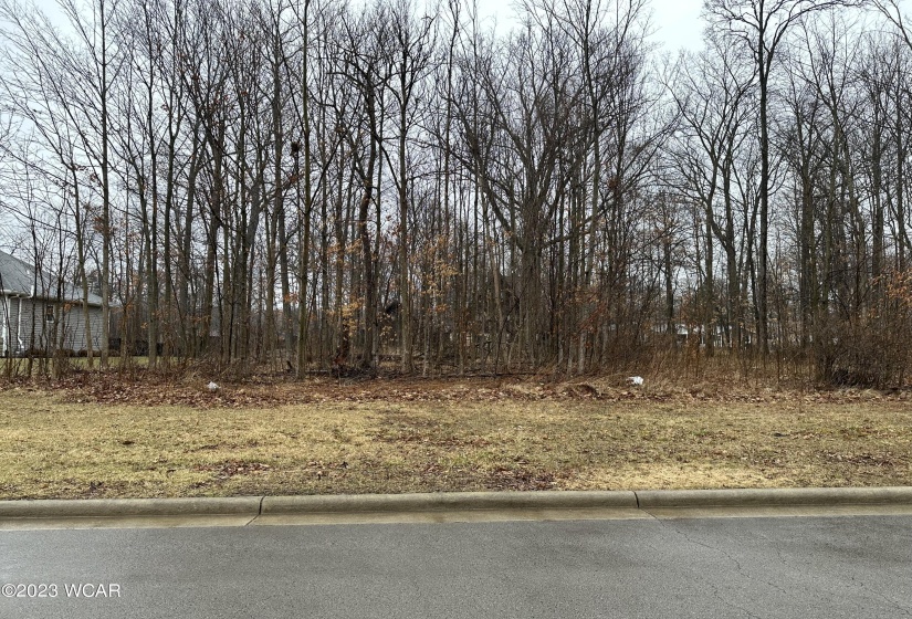 Lot 258 Forest Ln