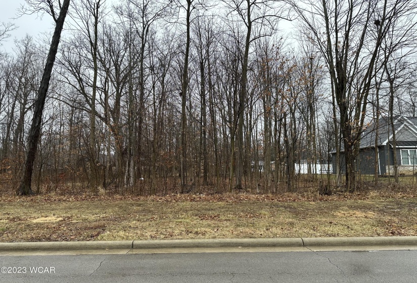 Lot 257 Forest Ln