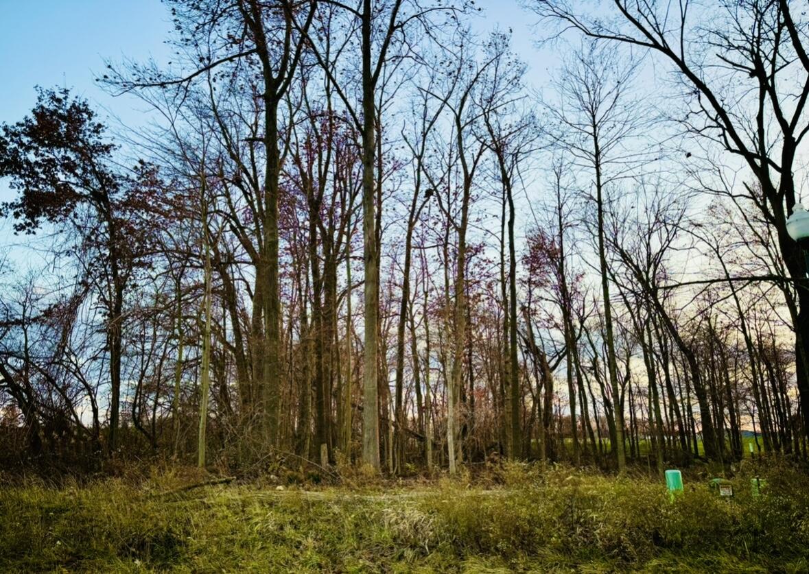 2504 Eaglebrooke Parkway, Celina, Ohio 45822