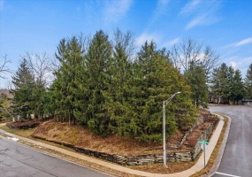 1800 Whispering Pines Lane, Bellefontaine, Ohio 43311, ,Land,For Sale,Whispering Pines,1030258