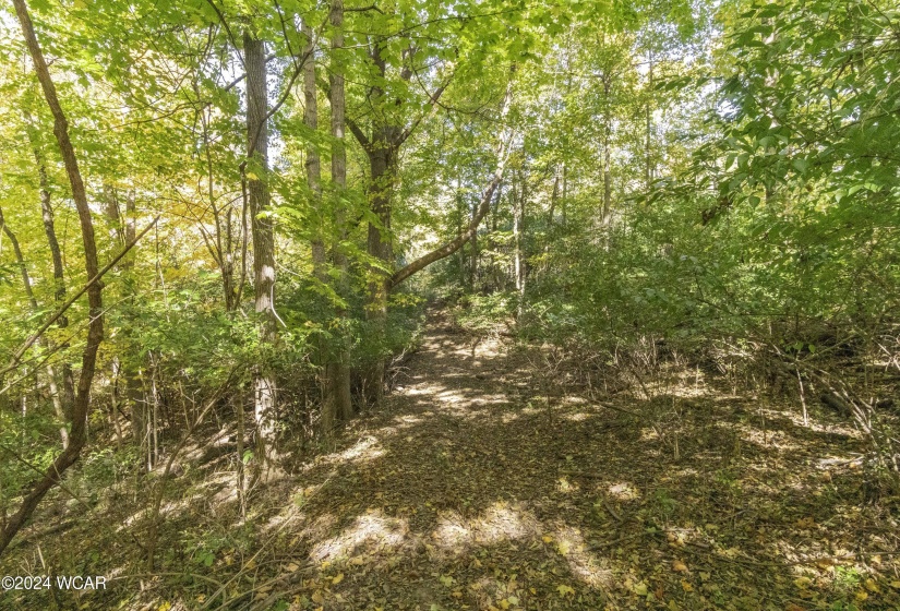 Court Street, Sidney, Ohio, ,Land,For Sale,Court,304285