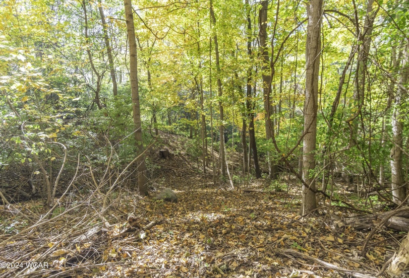 Court Street, Sidney, Ohio, ,Land,For Sale,Court,304285