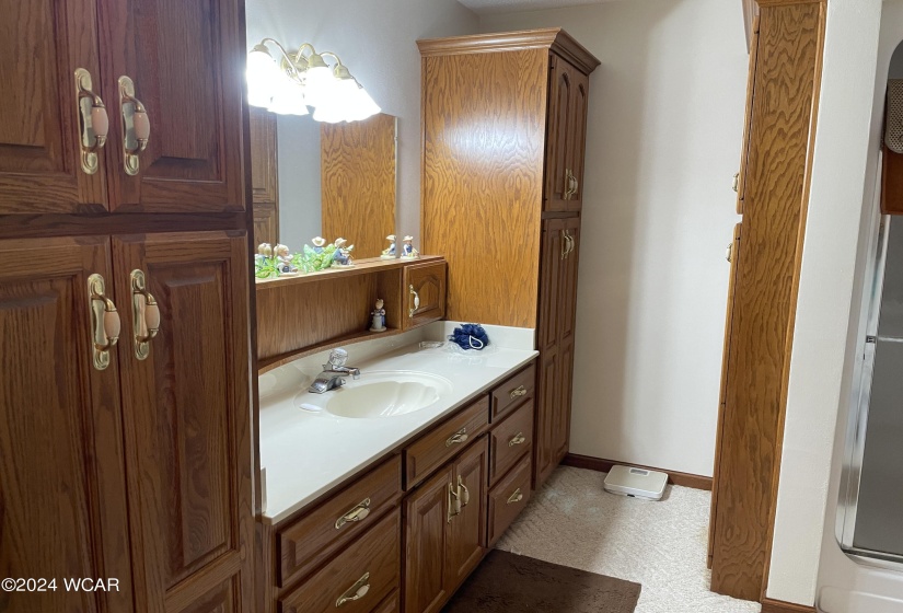 The Primary bath offers one wall of solid oak cabinetry complimented by a large sink and mirror.
