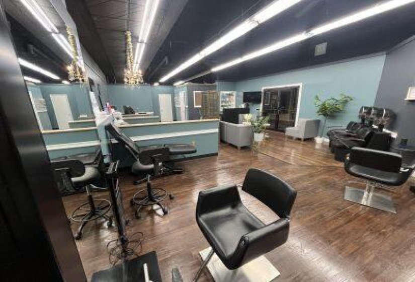 salon1-400x300