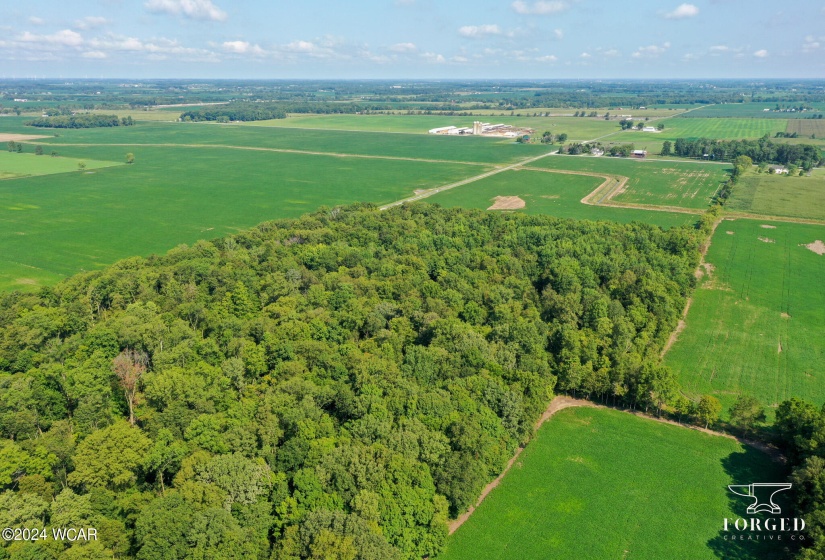 9960 Township Road 138, Ridgeway, Ohio, ,Land,For Sale,Township Road 138,304774