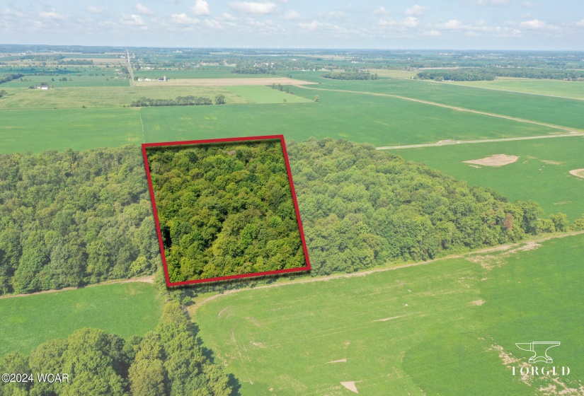 9960 Township Road 138, Ridgeway, Ohio, ,Land,For Sale,Township Road 138,304774