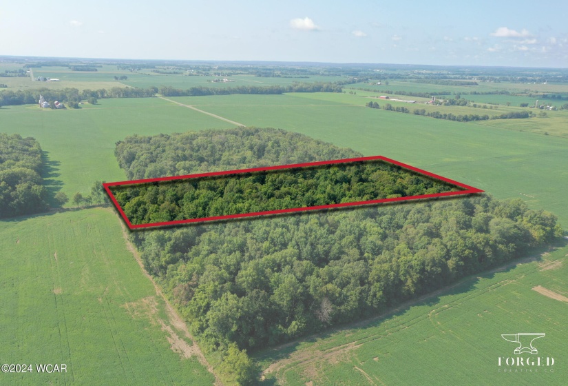 9960 Township Road 138, Ridgeway, Ohio, ,Land,For Sale,Township Road 138,304774