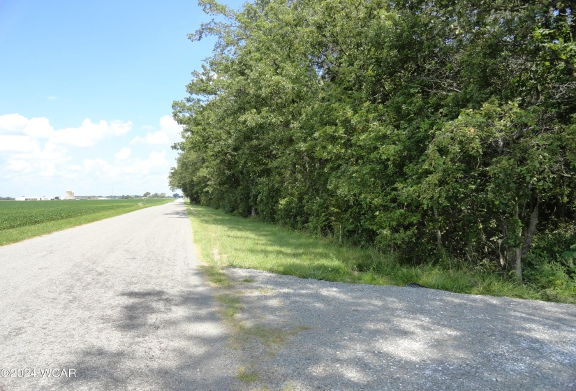 9960 Township Road 138, Ridgeway, Ohio, ,Land,For Sale,Township Road 138,304774