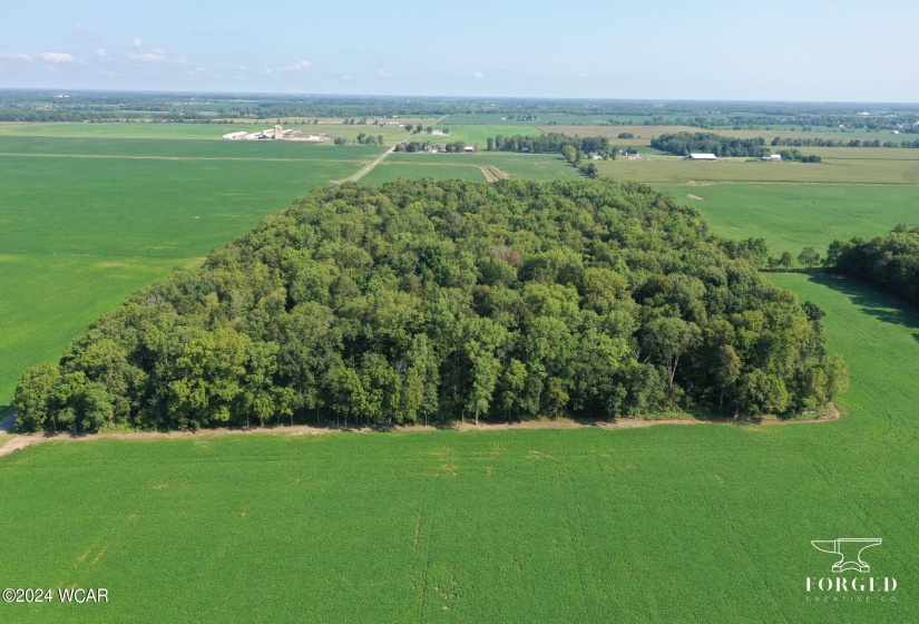 9960 Township Road 138, Ridgeway, Ohio, ,Land,For Sale,Township Road 138,304774