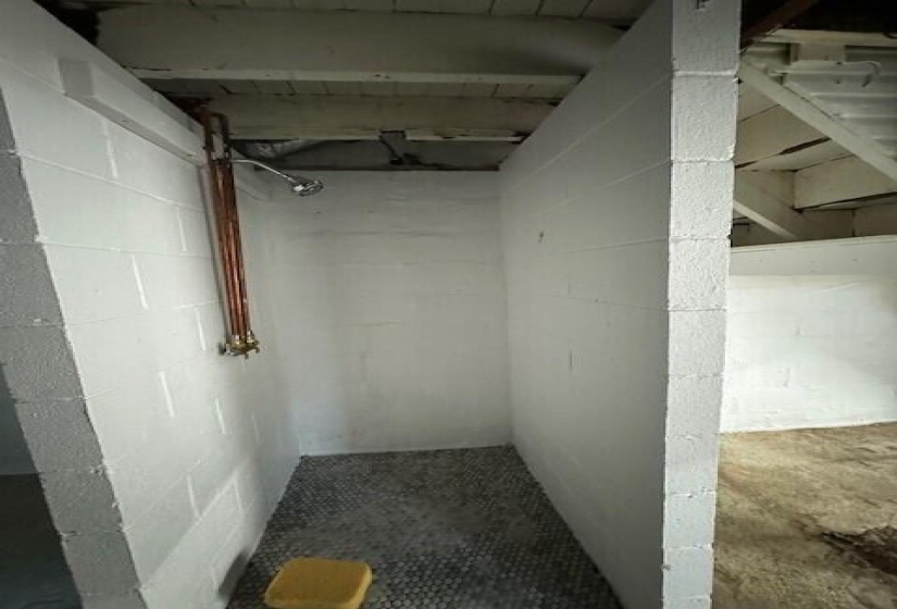 basement shower