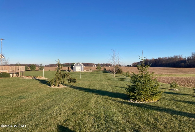 Yard on the southside of house