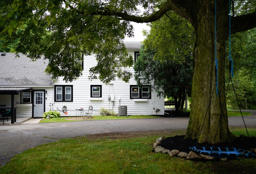 Rear Driveway