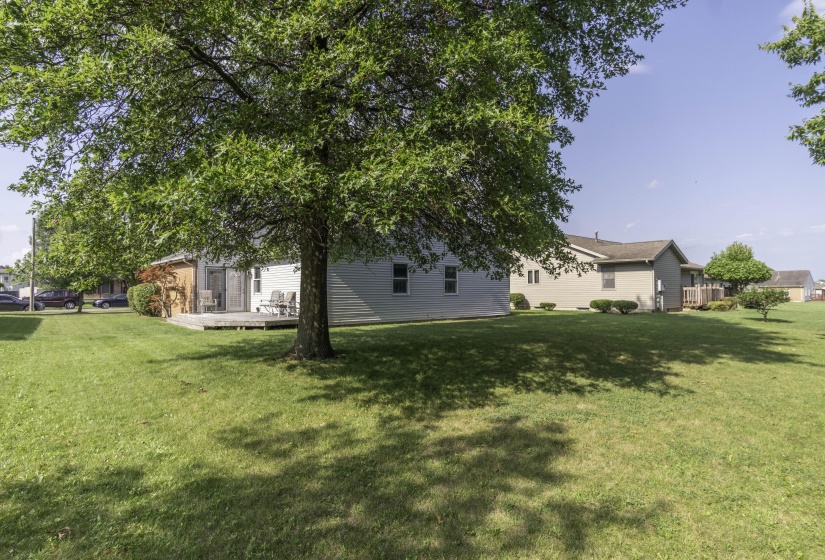 405 Ironwood, Sidney-27