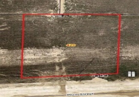 420 Plum Street, New Bremen, Ohio 45869, ,Land,For Sale,Plum,1034304