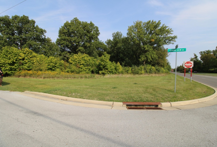 Spring View lot#10479 (2)