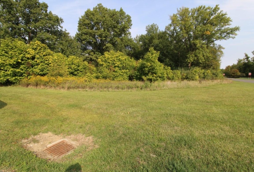 lot#10479 (1)