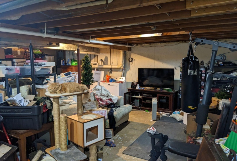 Kyle Basement