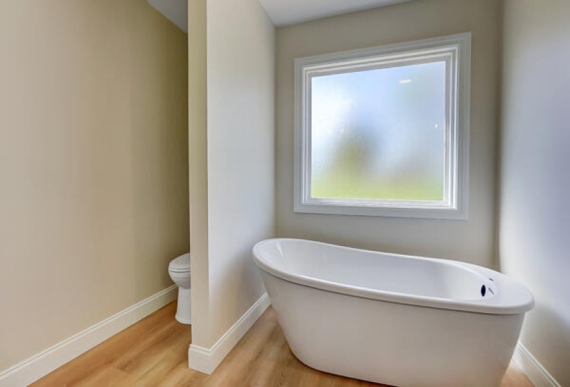 Master Bath with slipper tub