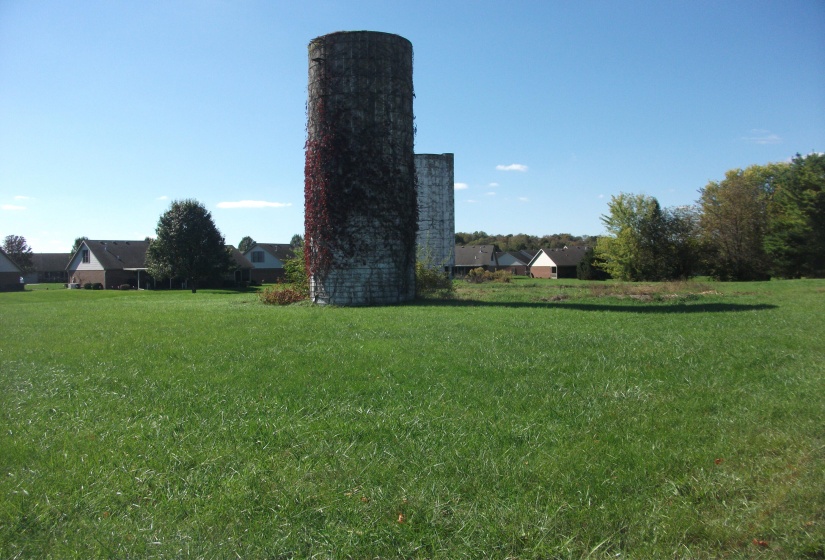 DSCF9700