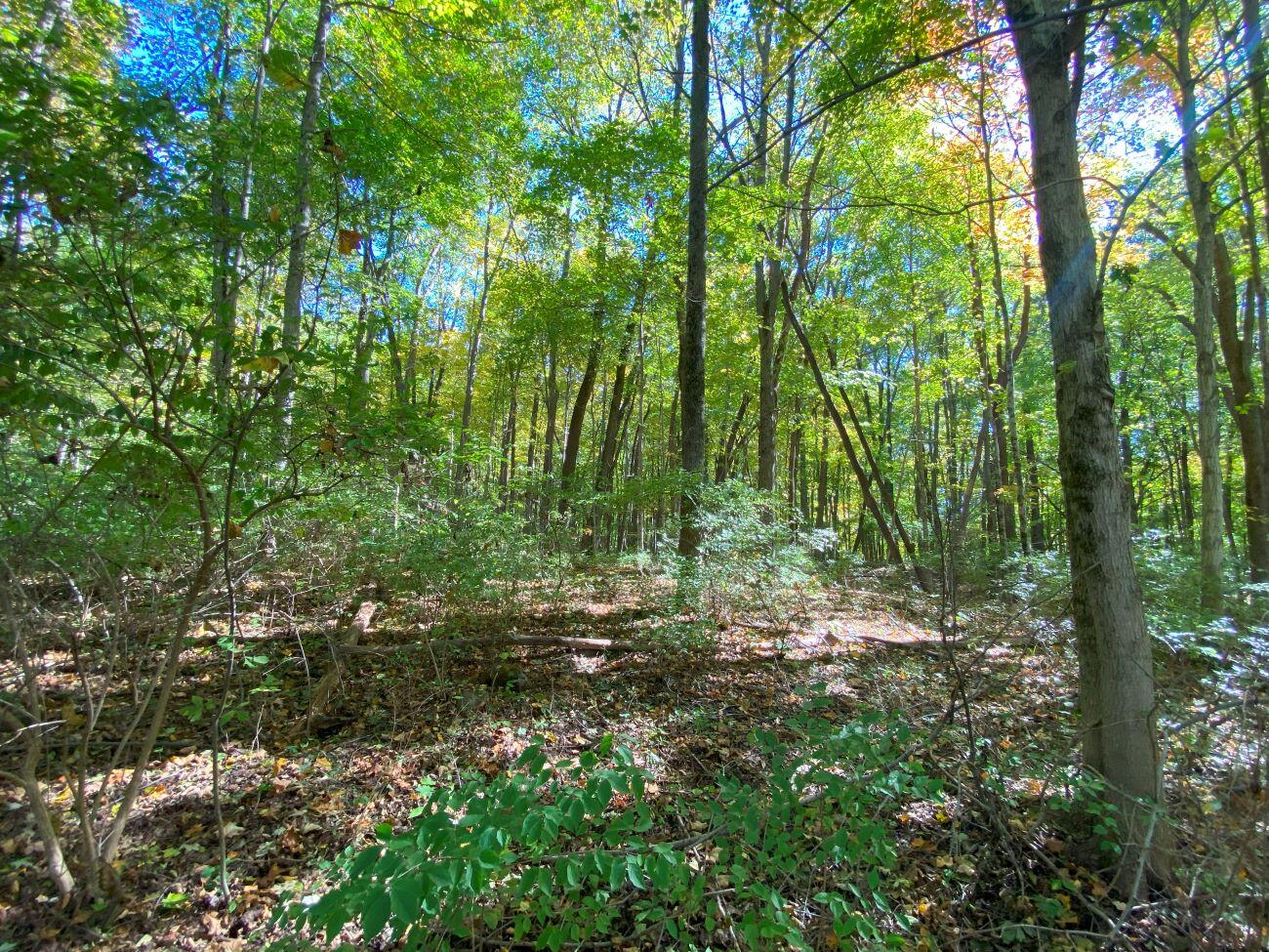 1010 Herr Road, Urbana, Ohio 43078