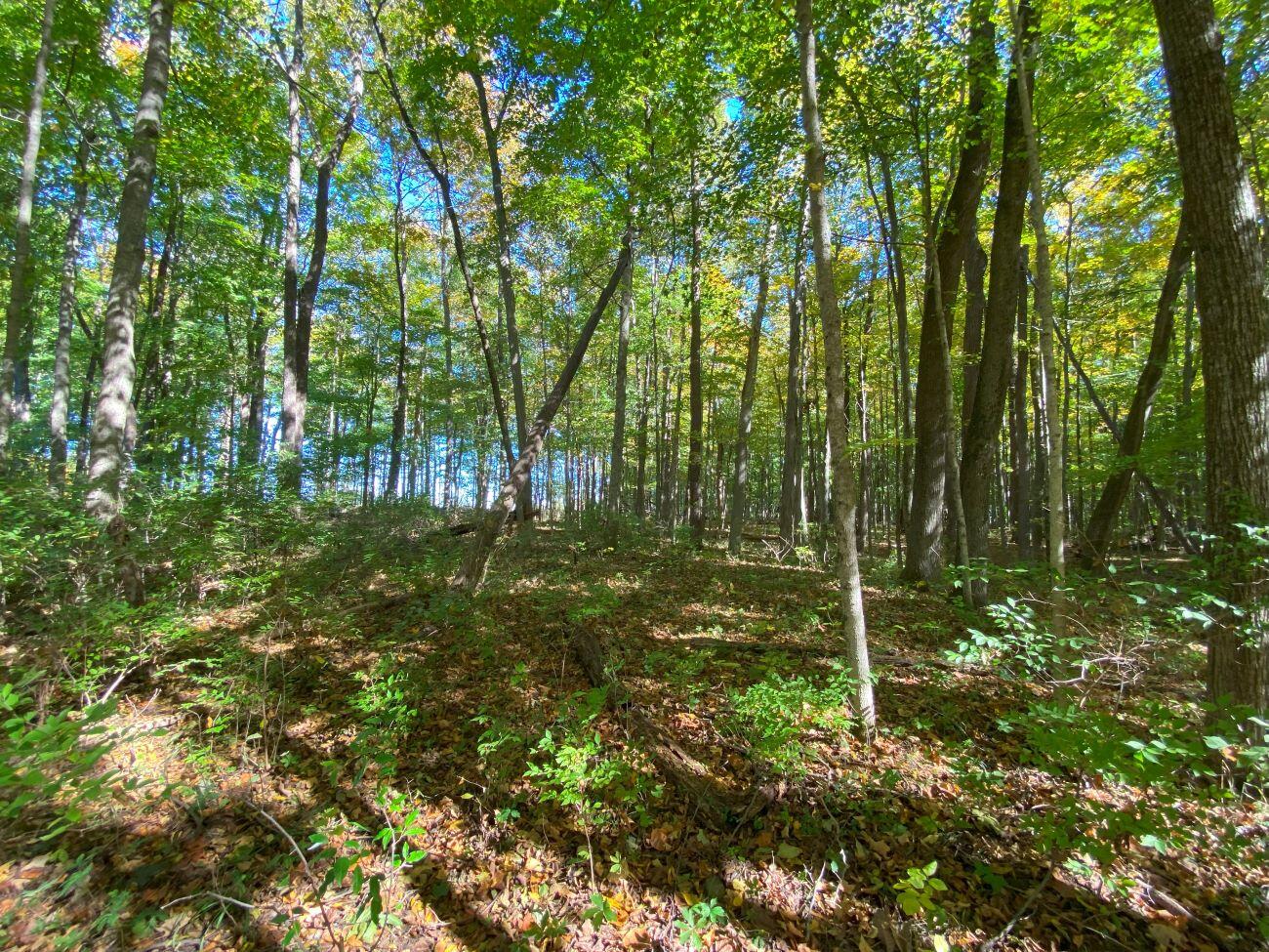 1010 Herr Road, Urbana, Ohio 43078