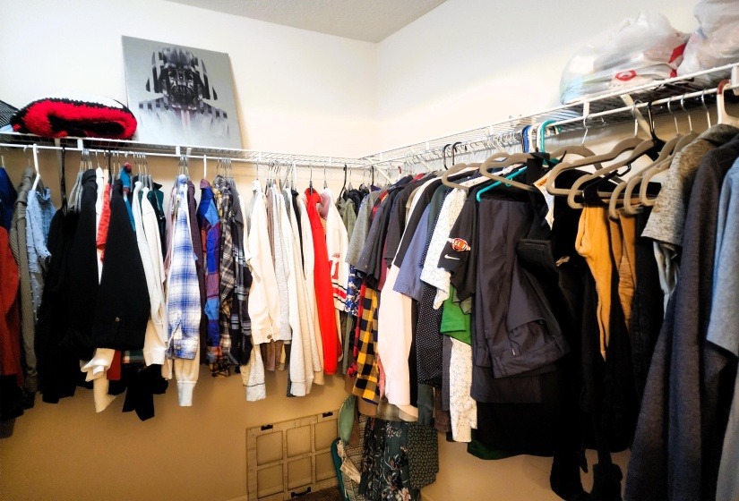 master closet 2