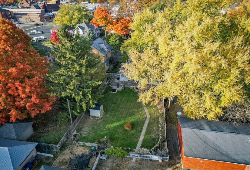 aerial back yard