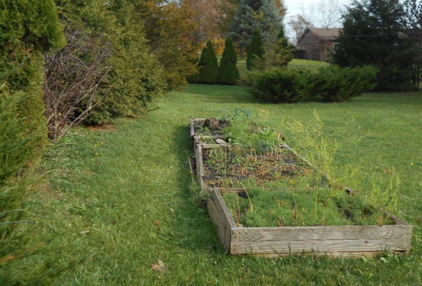 several raised garden beds