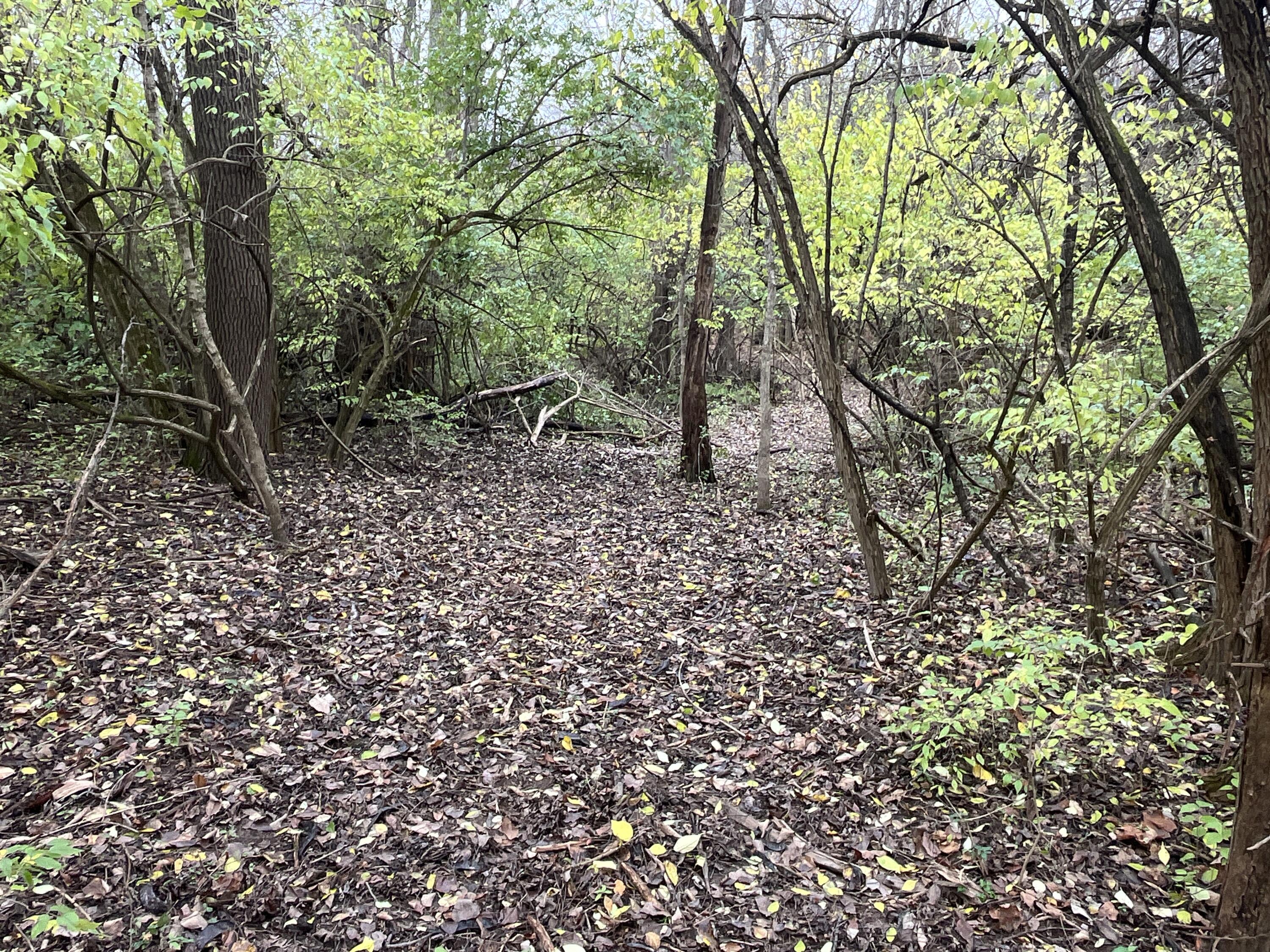 9237 Dog Leg Road, Dayton, Ohio 45414