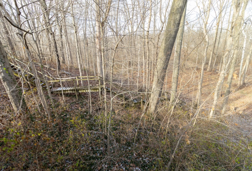 DHP_0069