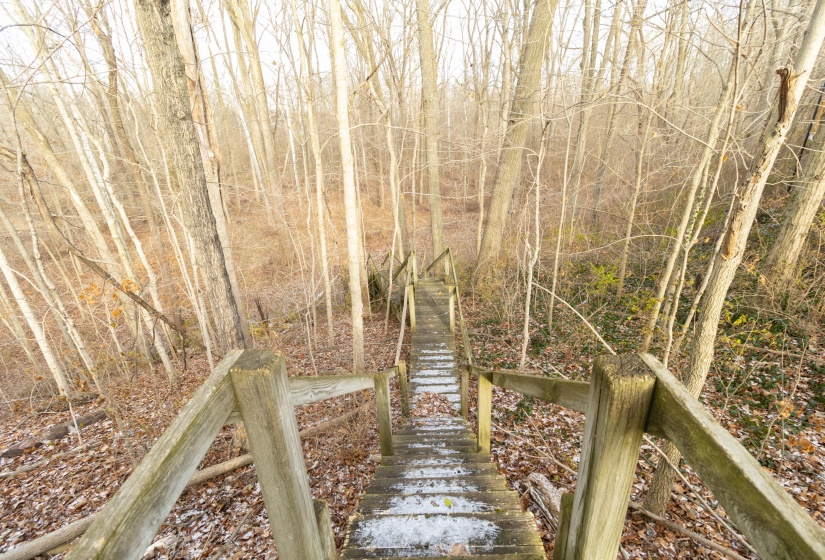 DHP_0090