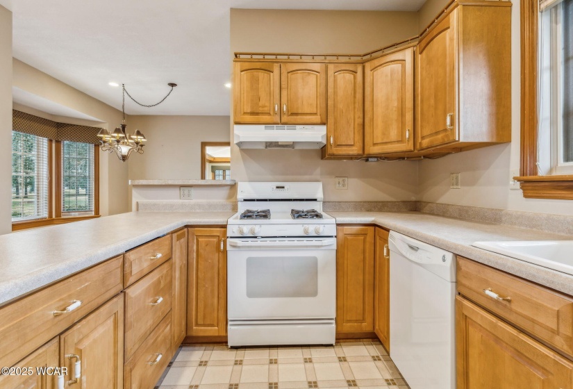 803 Union St. Street, Ada, Ohio, 3 Bedrooms Bedrooms, ,2 BathroomsBathrooms,Residential,For Sale,Union St.,305928