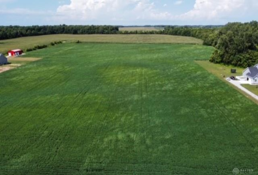 2-Lot 2 no lines