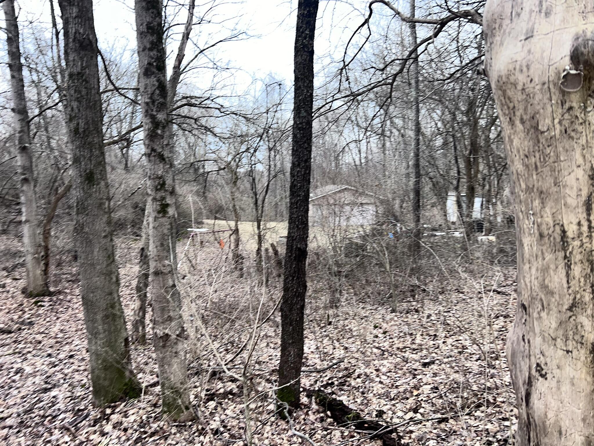 6250 Willowdale Road, Springfield, Ohio 45502