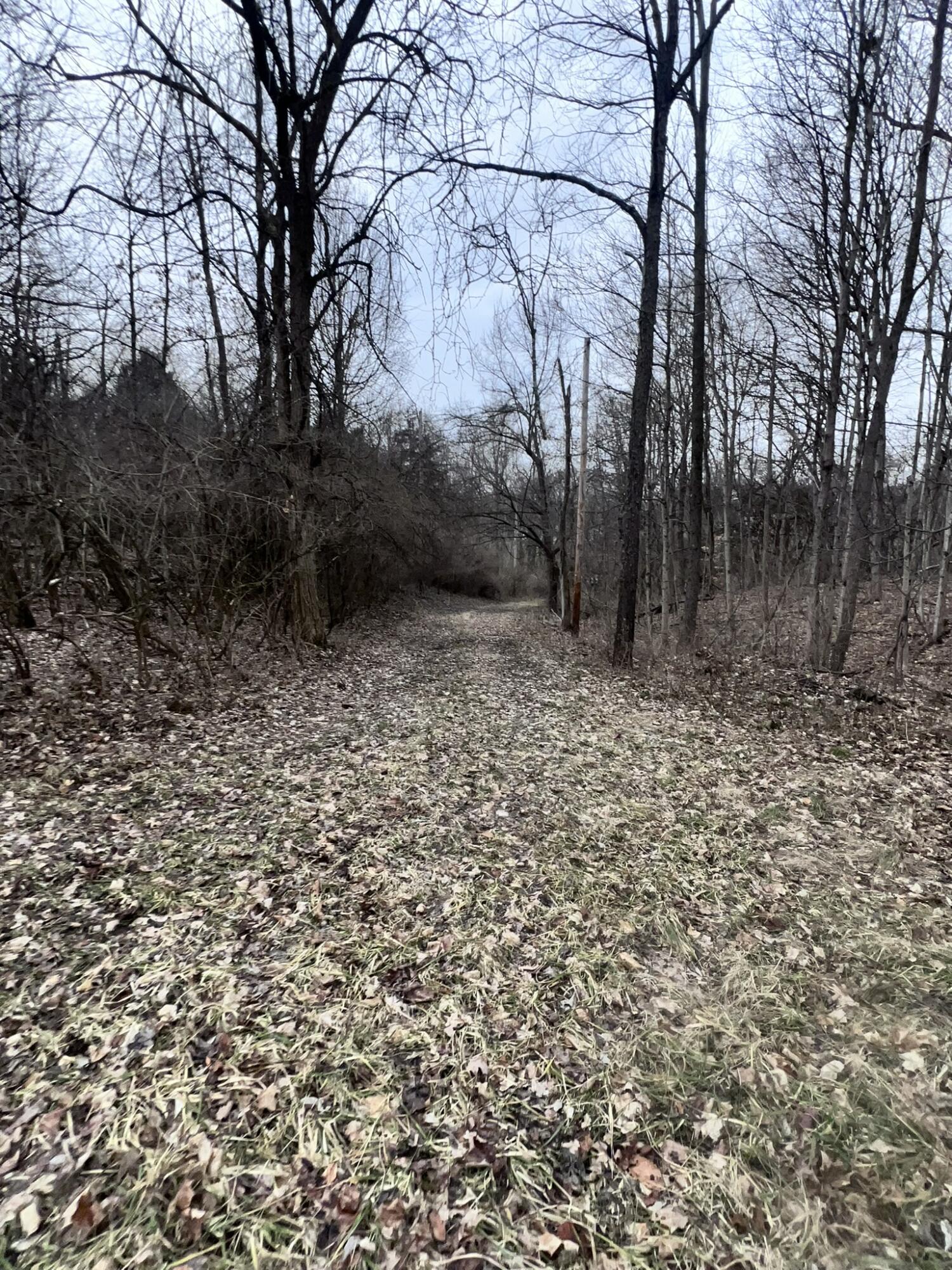 6250 Willowdale Road, Springfield, Ohio 45502