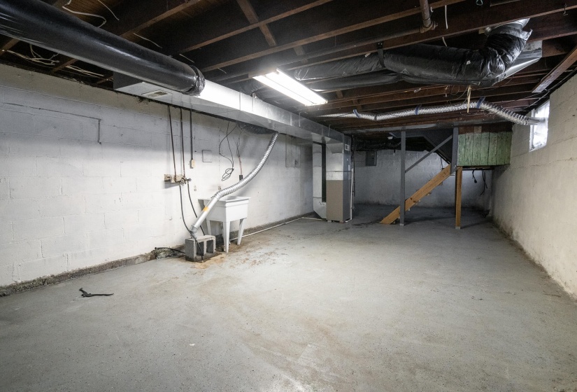 Unfinished Basement