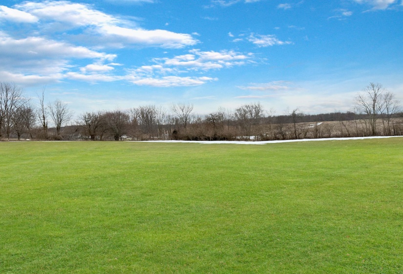 View of the Property