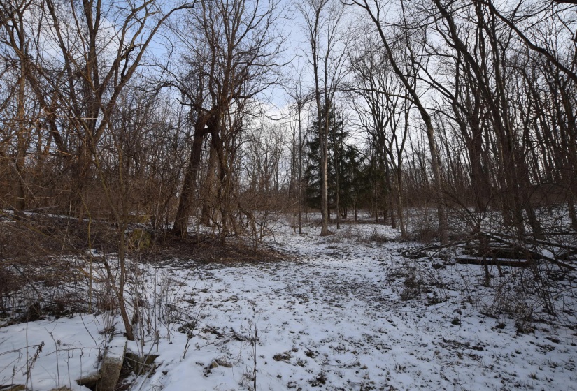 DSC_0007