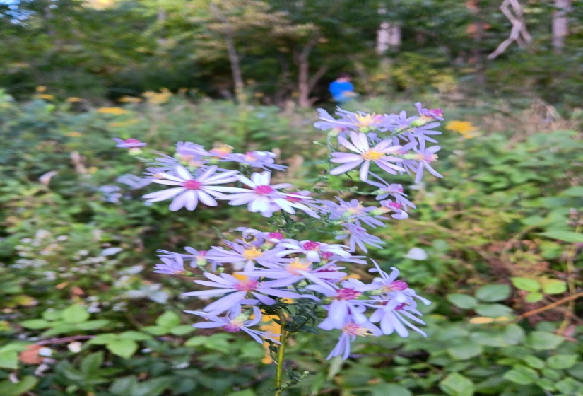 IMG_20250212_124553