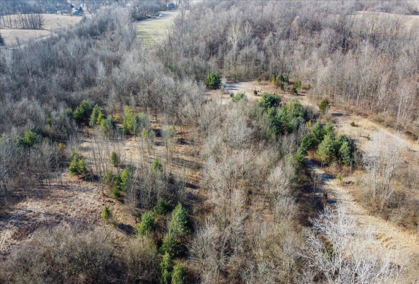 05-DJI_0139_1