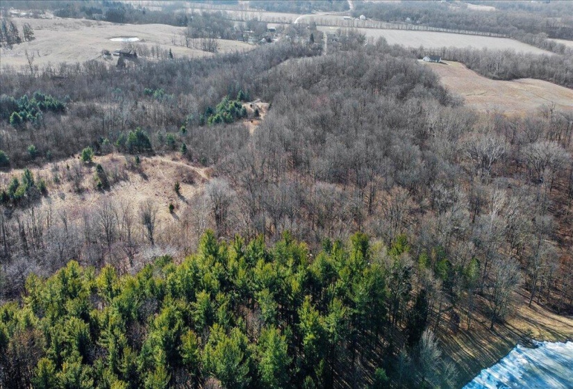 18-DJI_0163_1